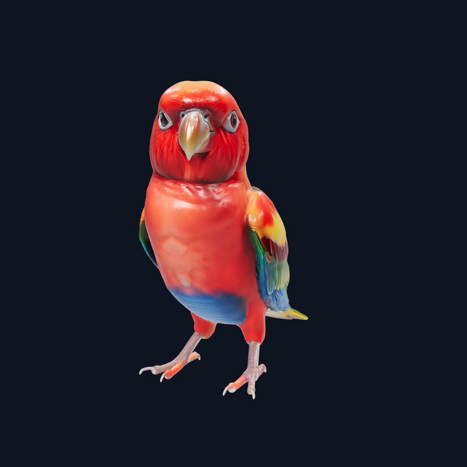 Vibrant Rosella Parrot 3D model pack